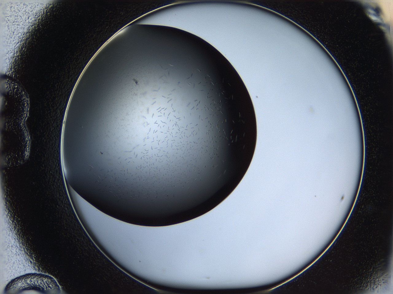 0603_B12_ImagerDefaults_6.jpg