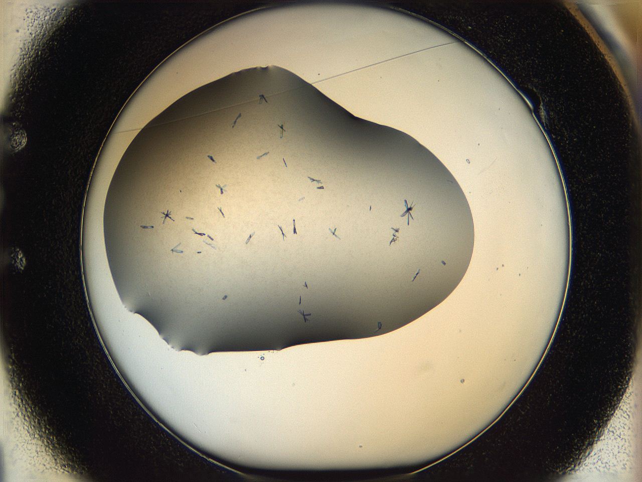 0604_E1_ImagerDefaults_7.jpg