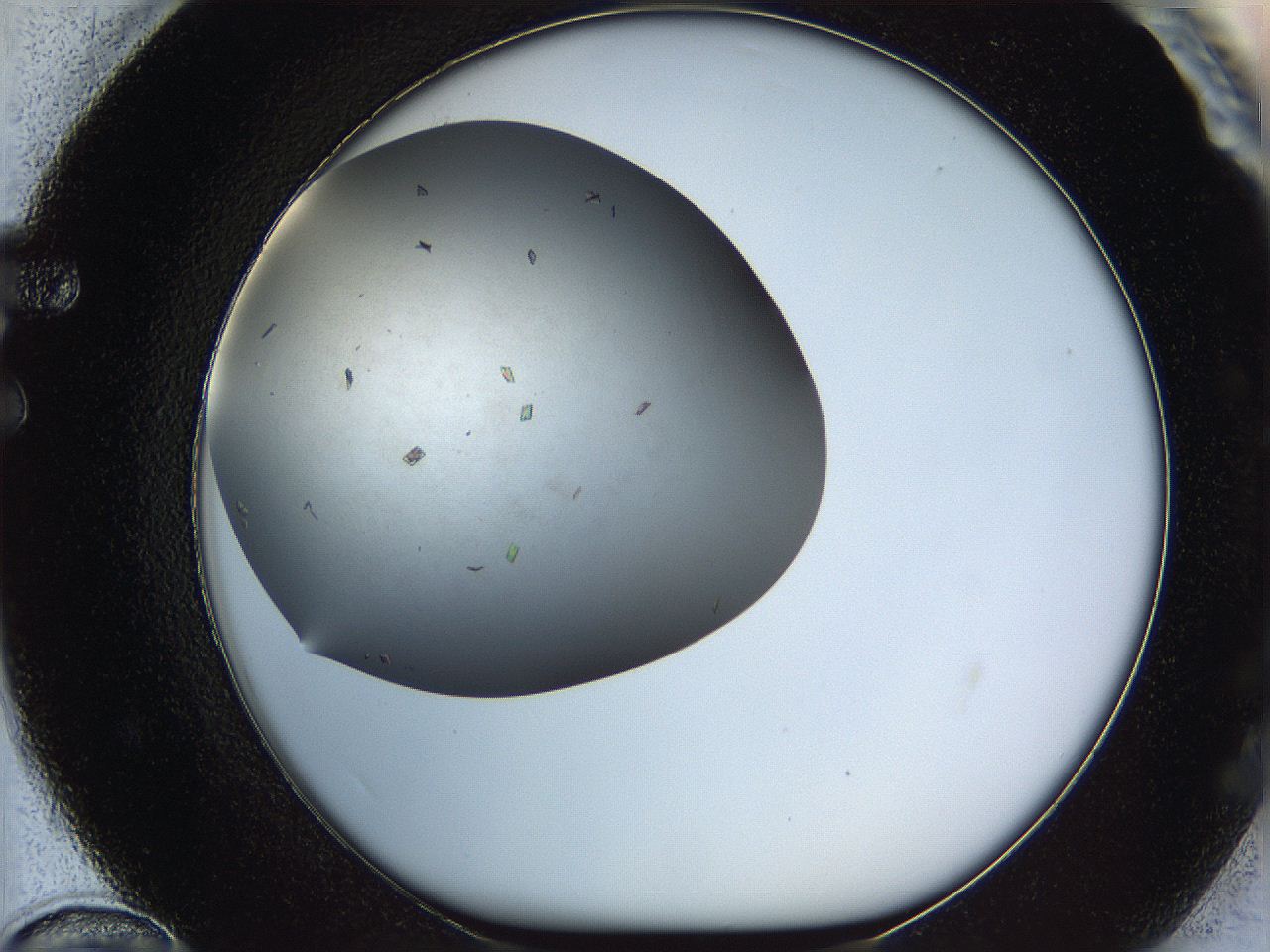 0604_F12_ImagerDefaults_7.jpg