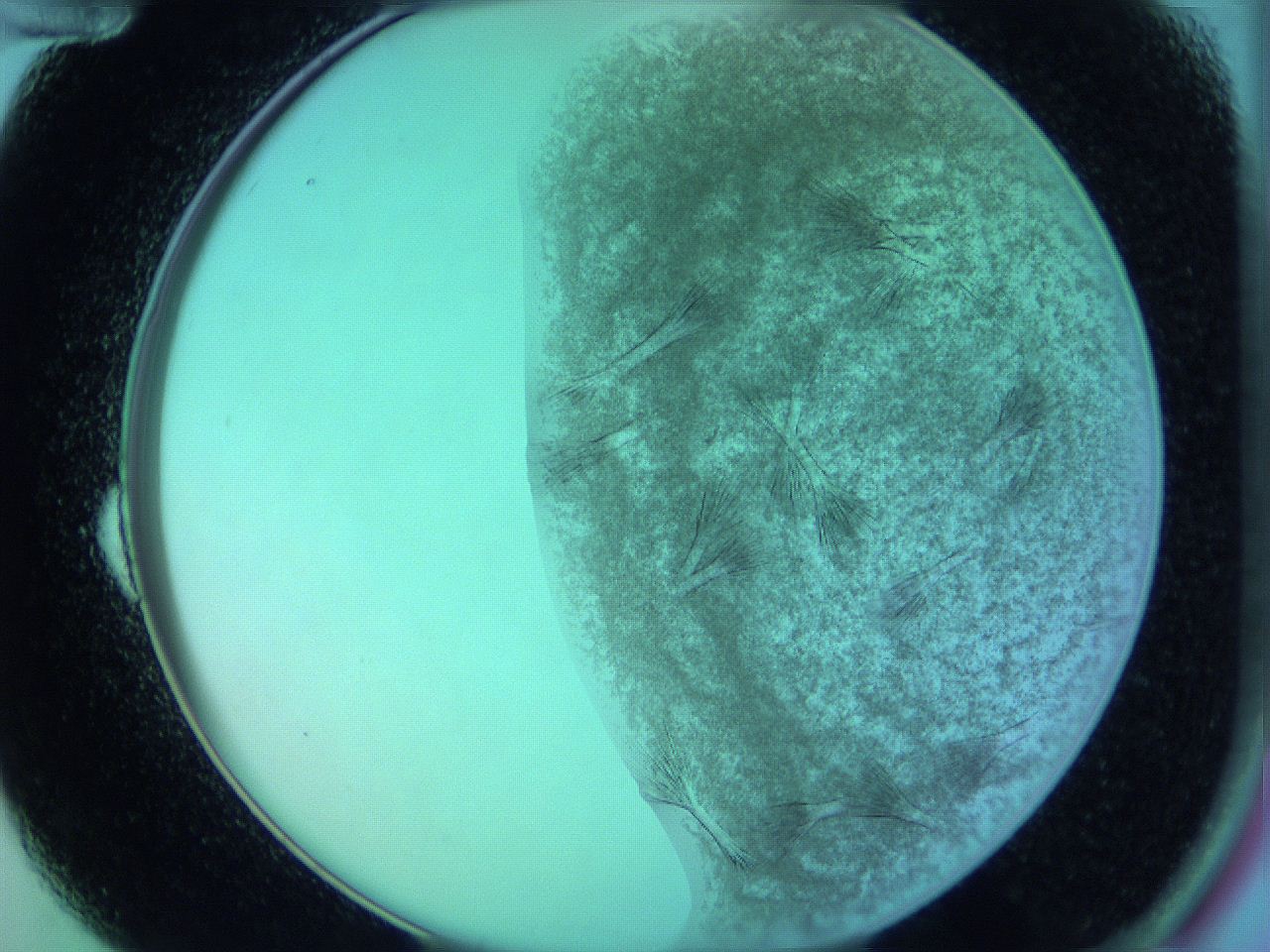 0607_B12_ImagerDefaults_9.jpg