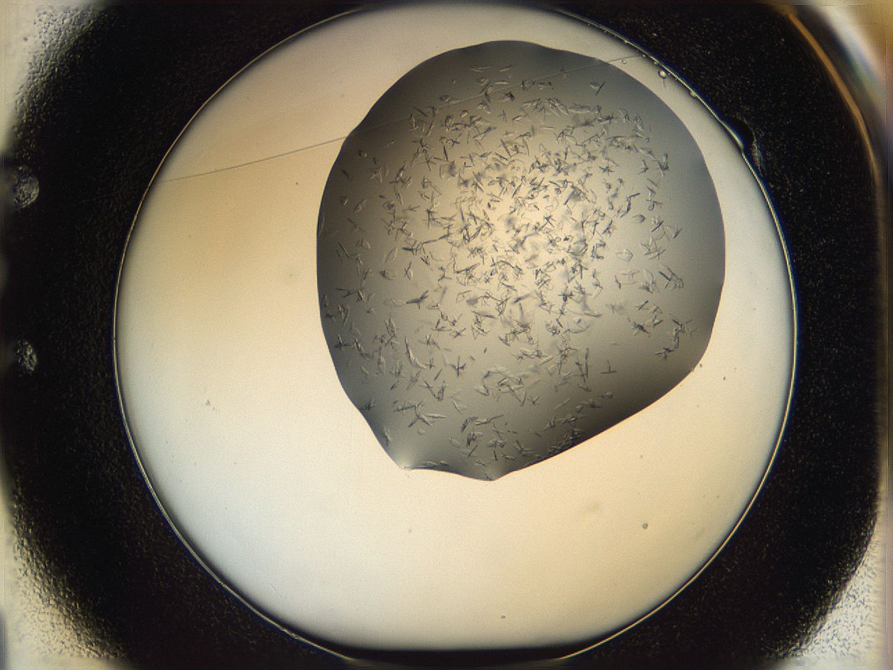 060b_E1_ImagerDefaults_6.jpg