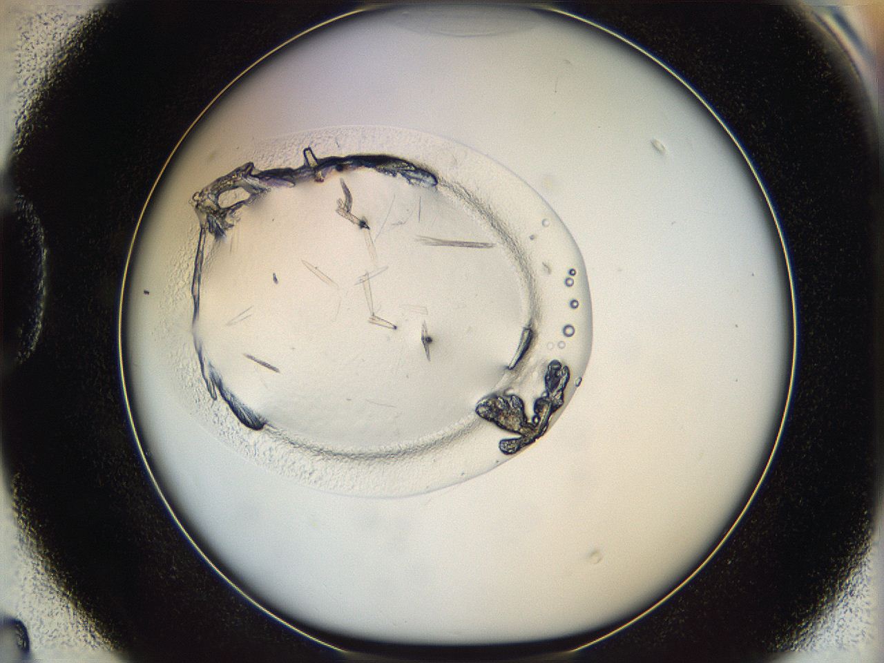 060b_D4_ImagerDefaults_6.jpg