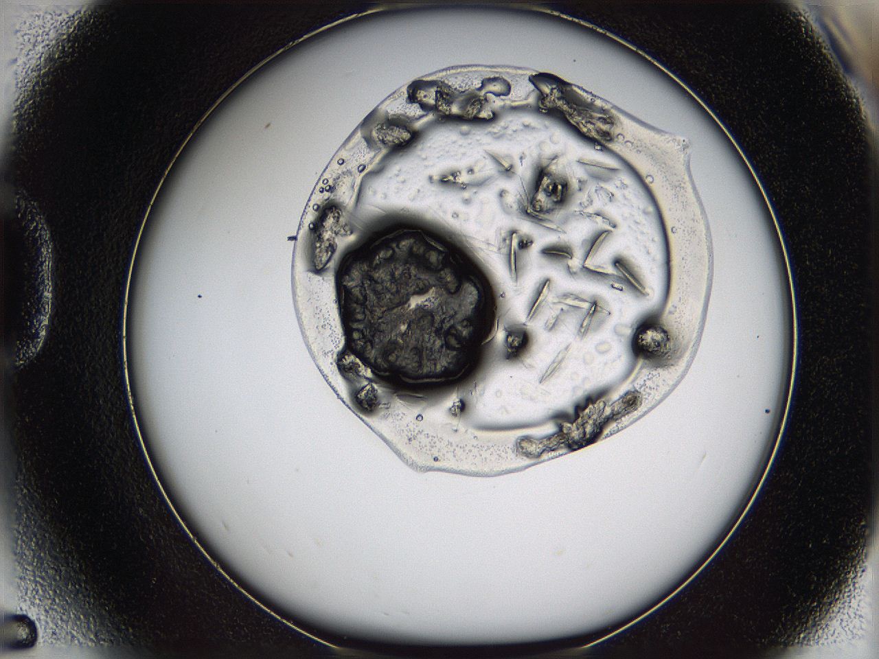 060b_D5_ImagerDefaults_7.jpg
