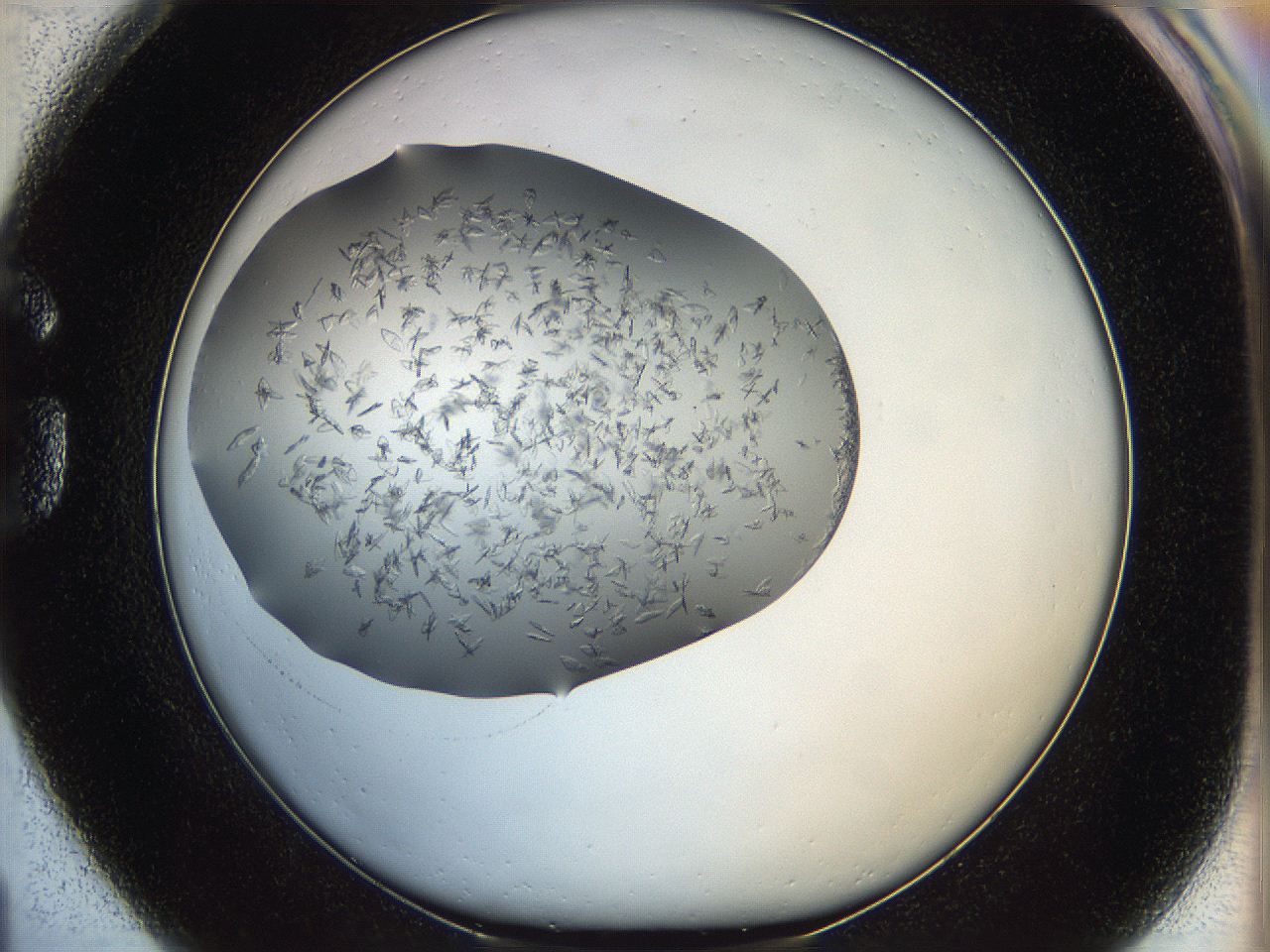 060b_G1_ImagerDefaults_6.jpg