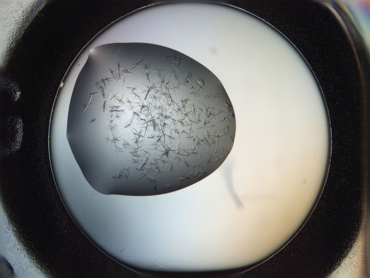 060b_G2_ImagerDefaults_6.jpg