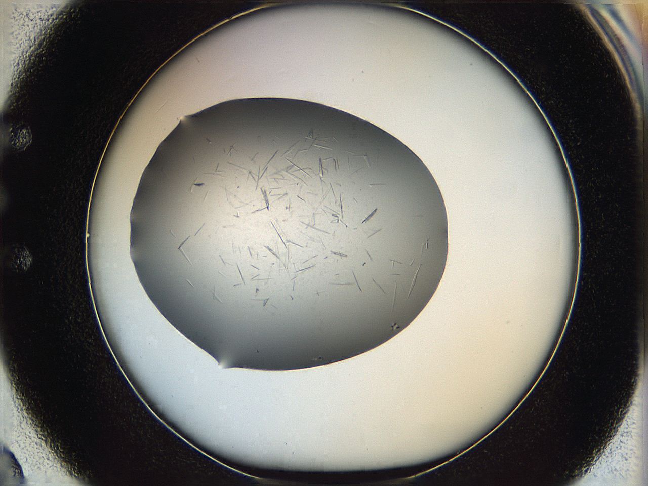 060b_E2_ImagerDefaults_6.jpg