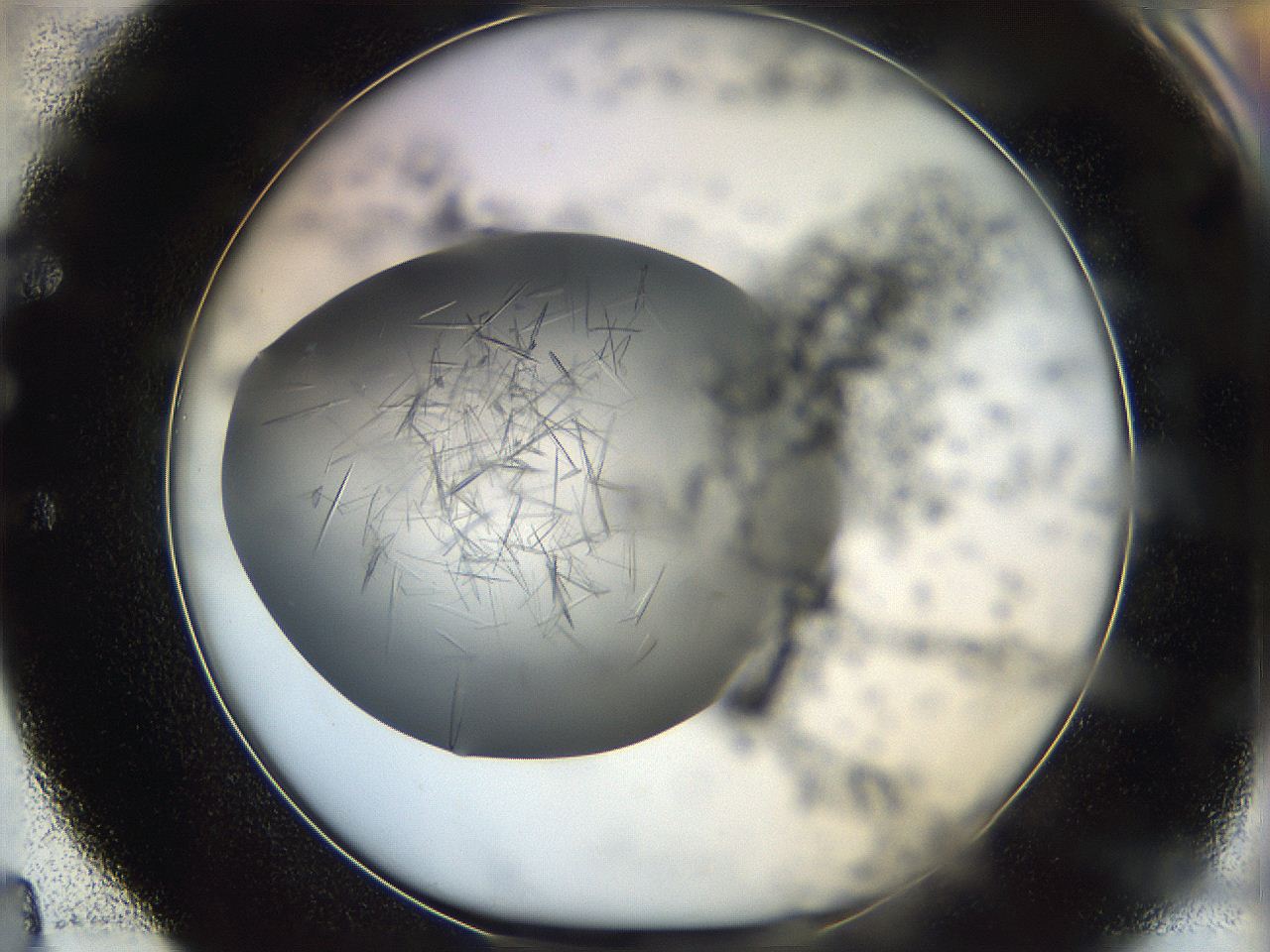 060b_E4_ImagerDefaults_7.jpg