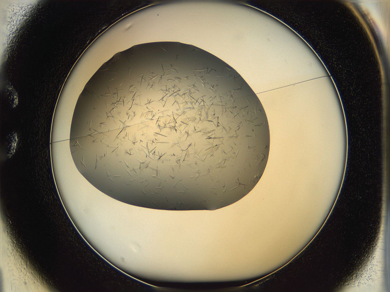 060b_C1_ImagerDefaults_6.jpg