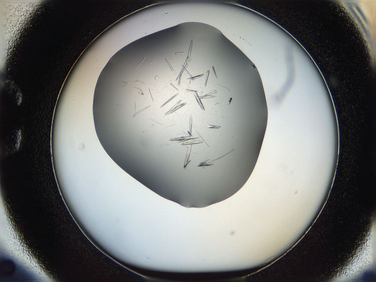 060b_C5_ImagerDefaults_9.jpg