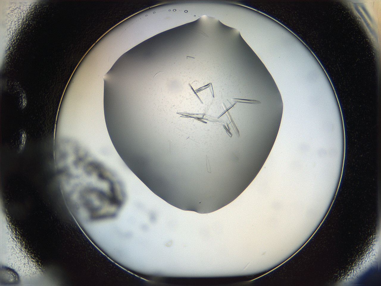 060b_C6_ImagerDefaults_9.jpg