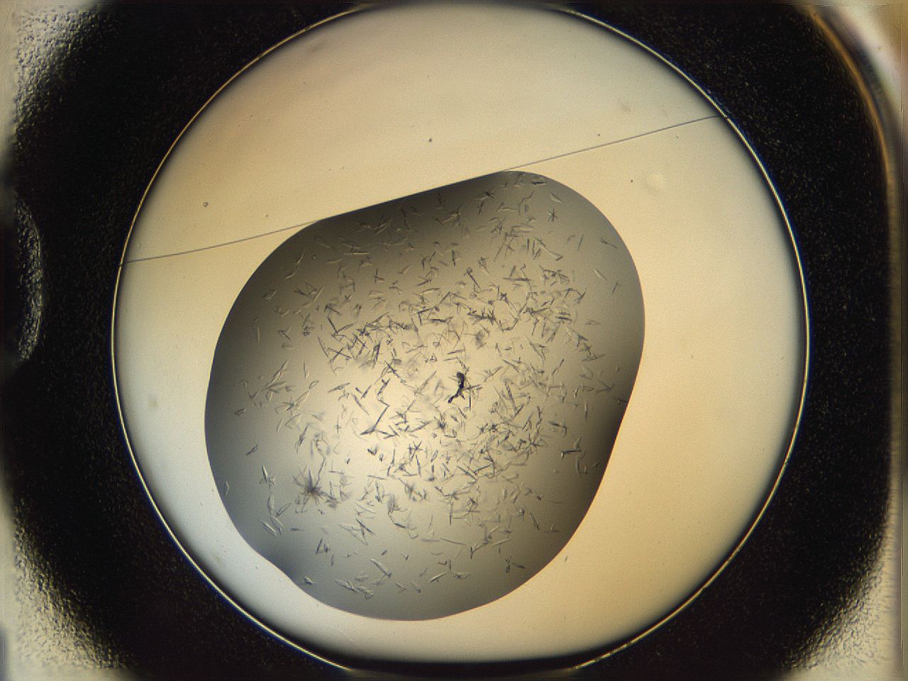 060b_D1_ImagerDefaults_6.jpg