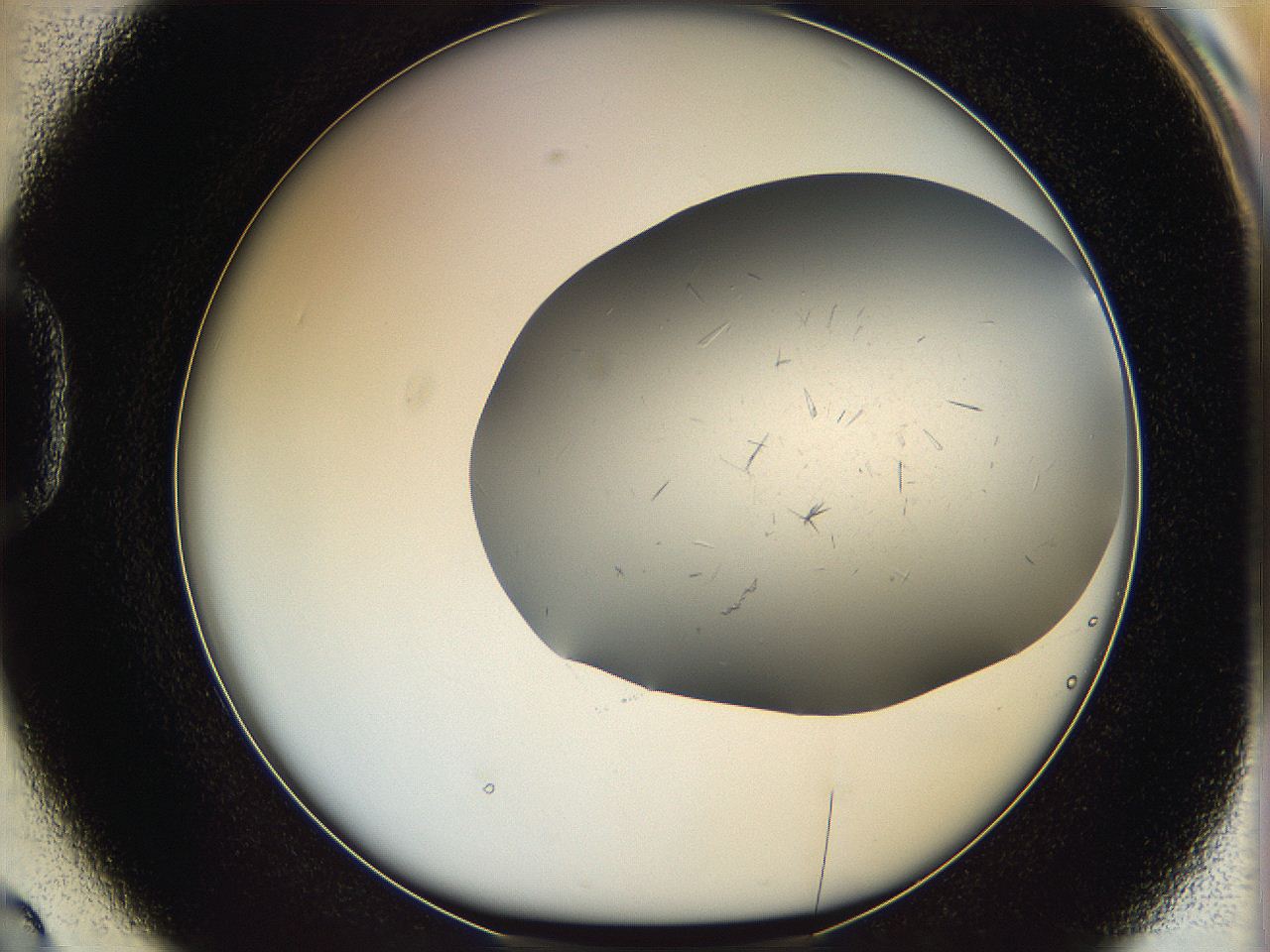 060b_D2_ImagerDefaults_6.jpg