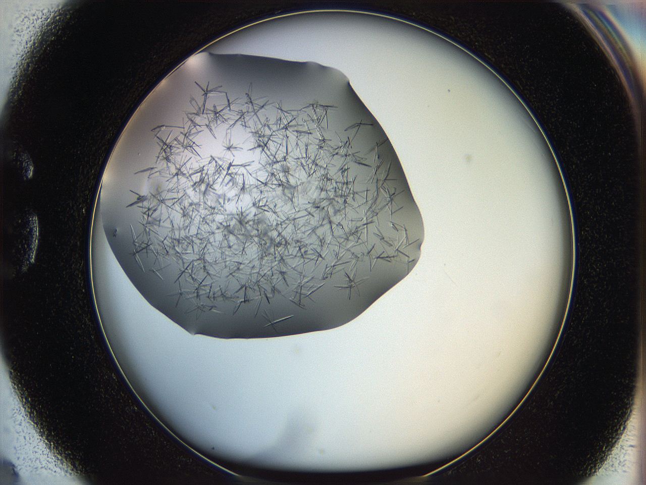 060b_G4_ImagerDefaults_7.jpg
