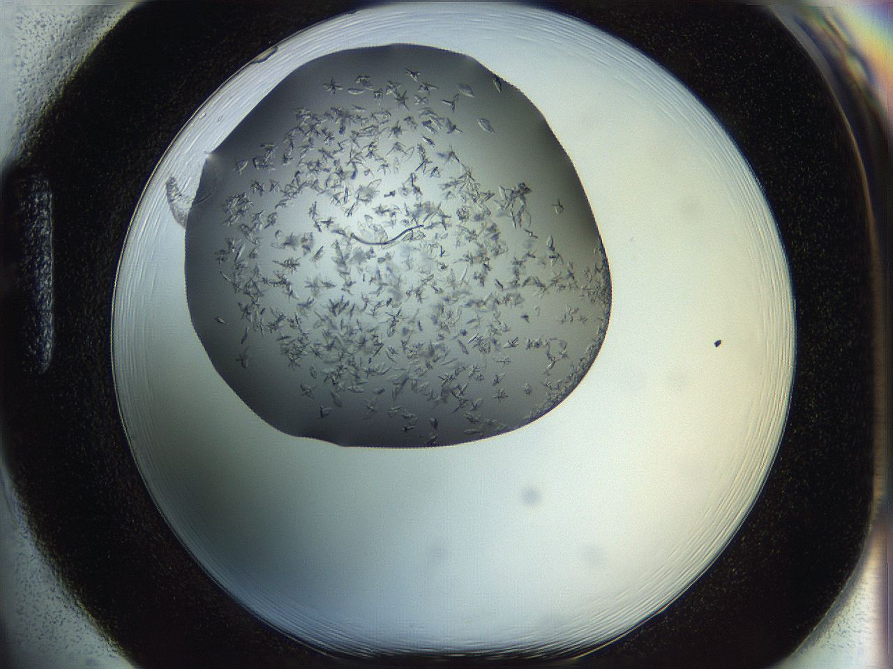 060b_H1_ImagerDefaults_6.jpg
