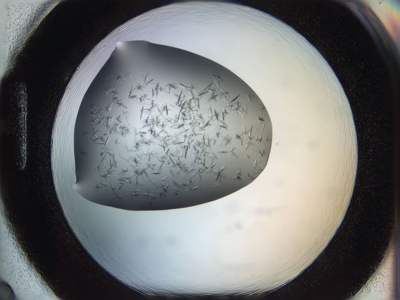 060b_H2_ImagerDefaults_6.jpg