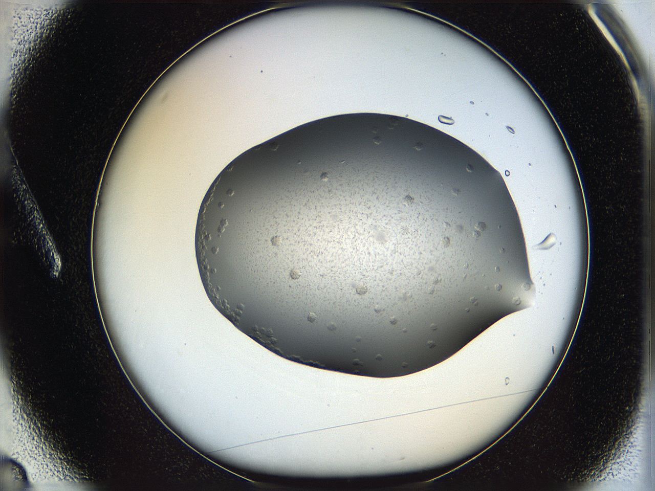 060c_A3_ImagerDefaults_6.jpg