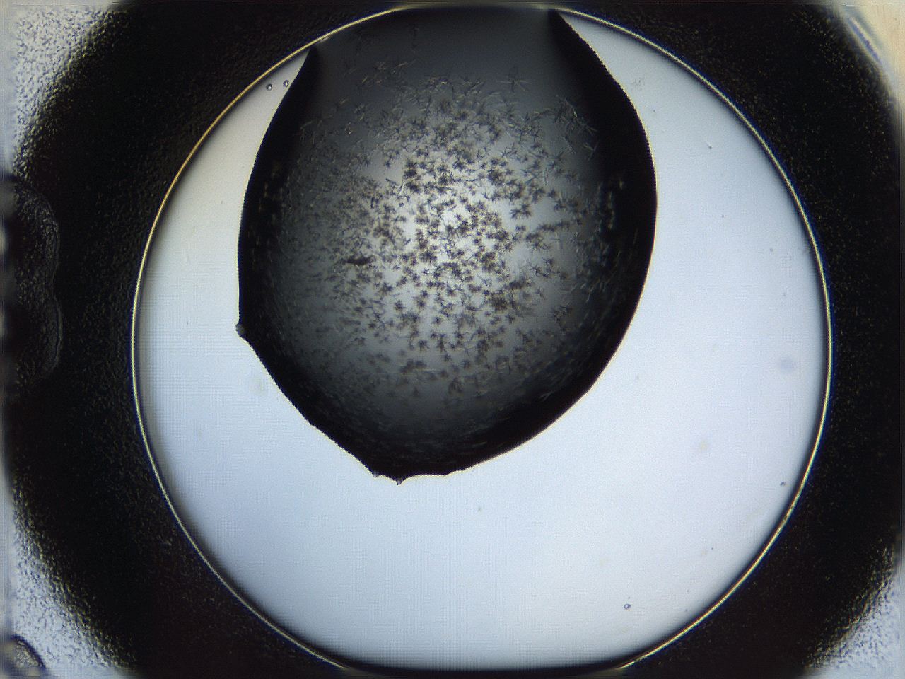 060c_B9_ImagerDefaults_6.jpg