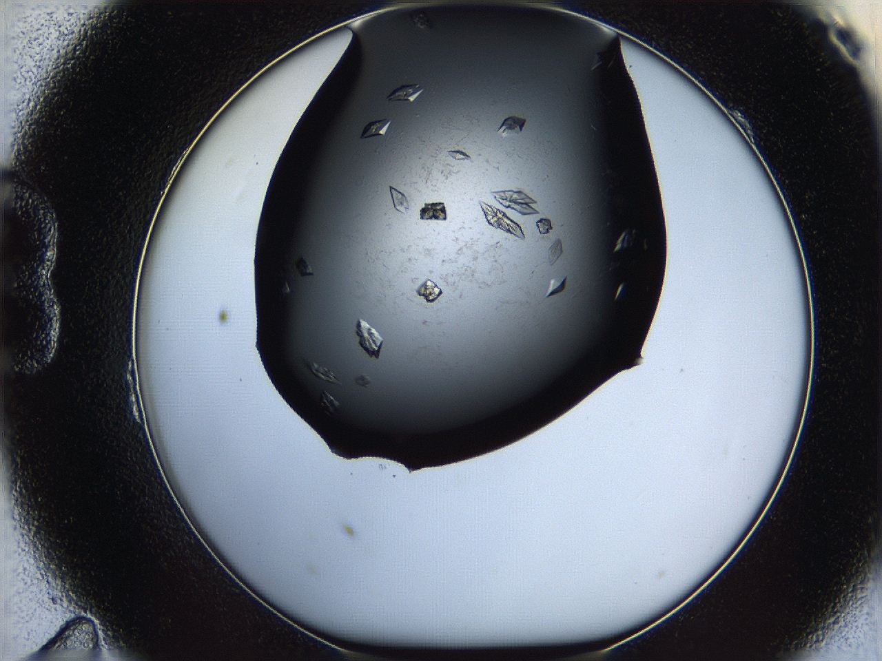 060c_B11_ImagerDefaults_9.jpg