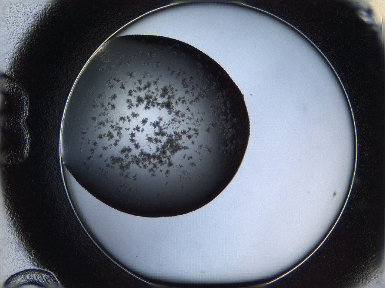 060c_B12_ImagerDefaults_6.jpg