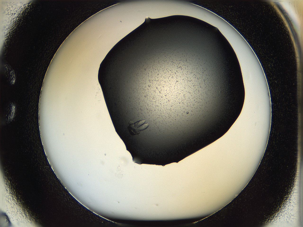 060c_C2_ImagerDefaults_9.jpg