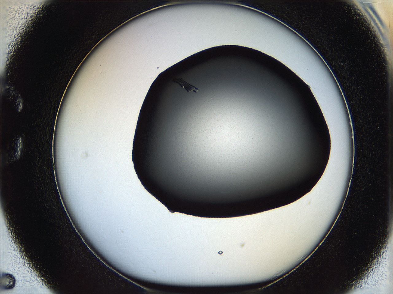060c_C5_ImagerDefaults_7.jpg