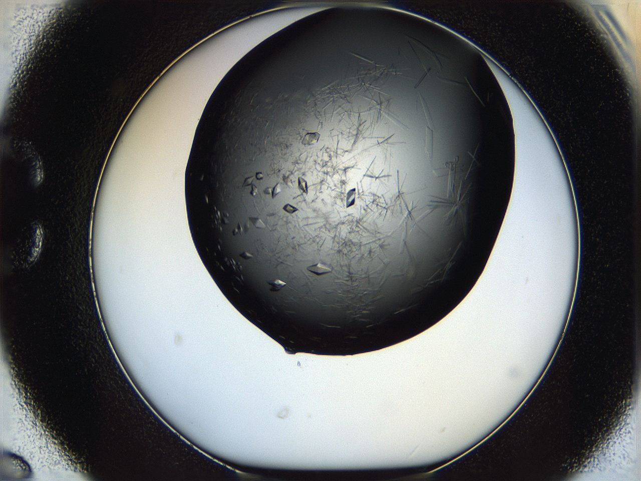 060c_C6_ImagerDefaults_9.jpg