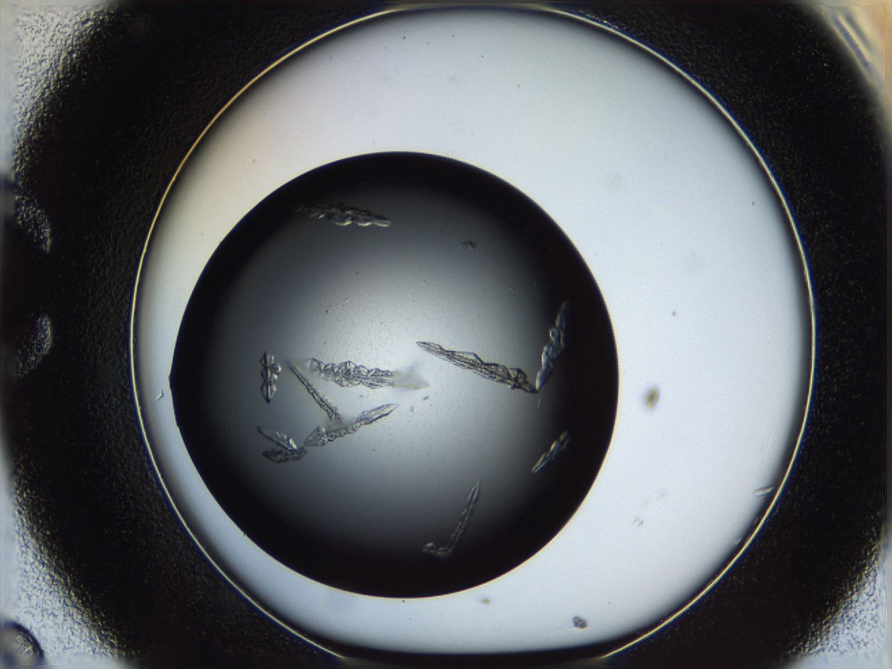 060c_C8_ImagerDefaults_9.jpg