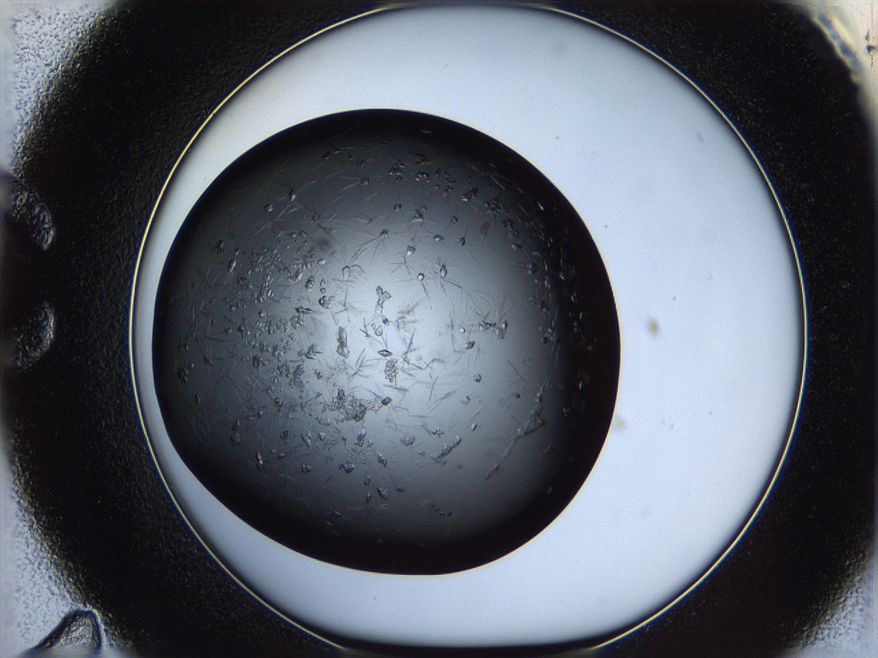 060c_C11_ImagerDefaults_7.jpg