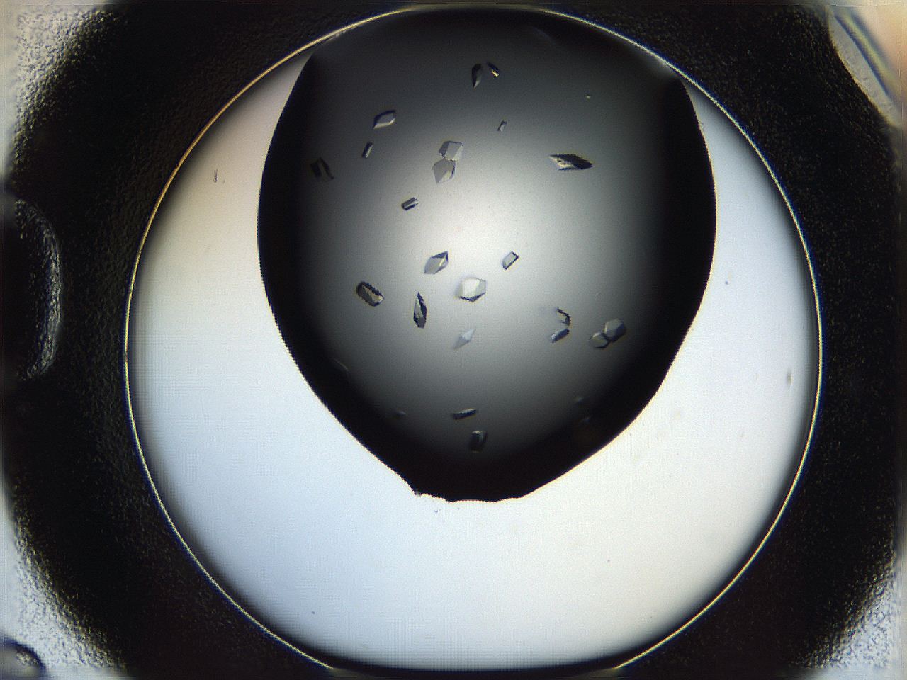 060c_D6_ImagerDefaults_9.jpg