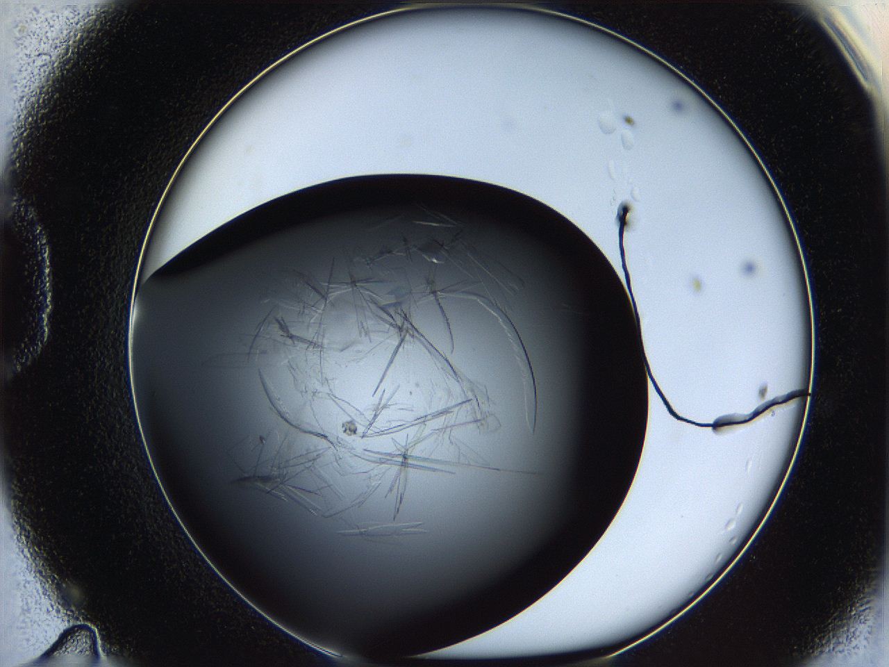 060c_D11_ImagerDefaults_6.jpg