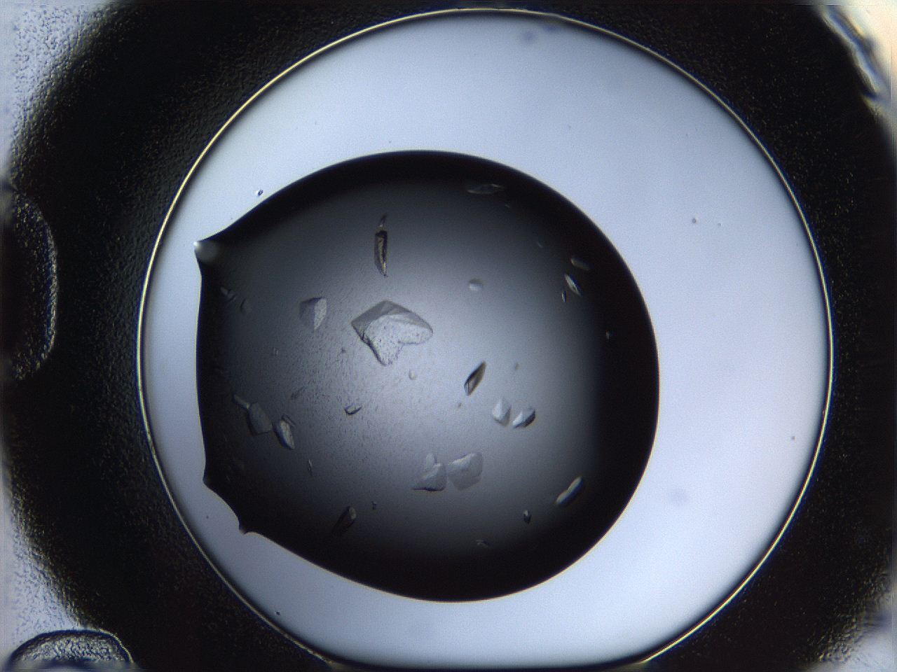 060c_D12_ImagerDefaults_9.jpg