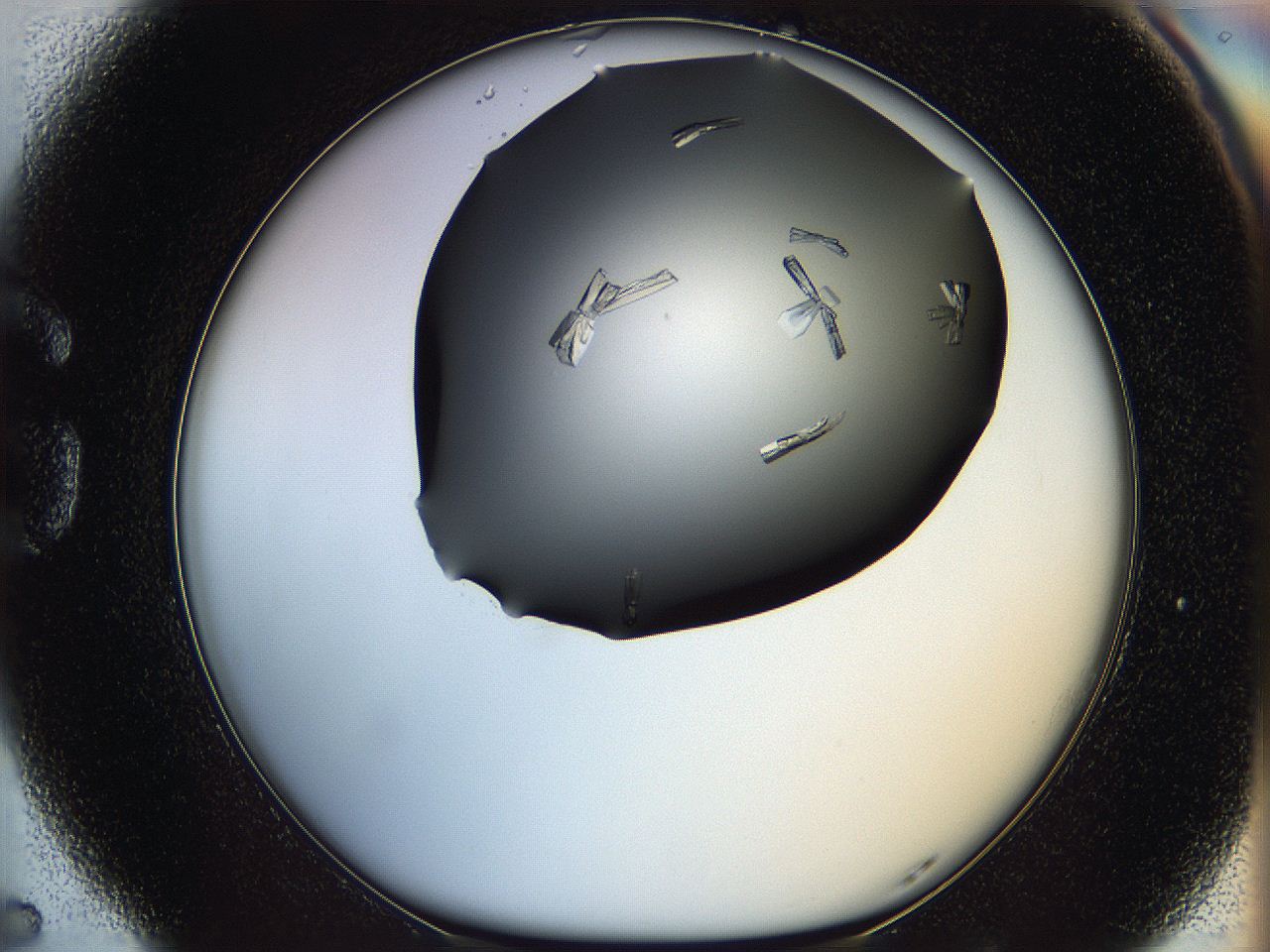 060c_G5_ImagerDefaults_8.jpg