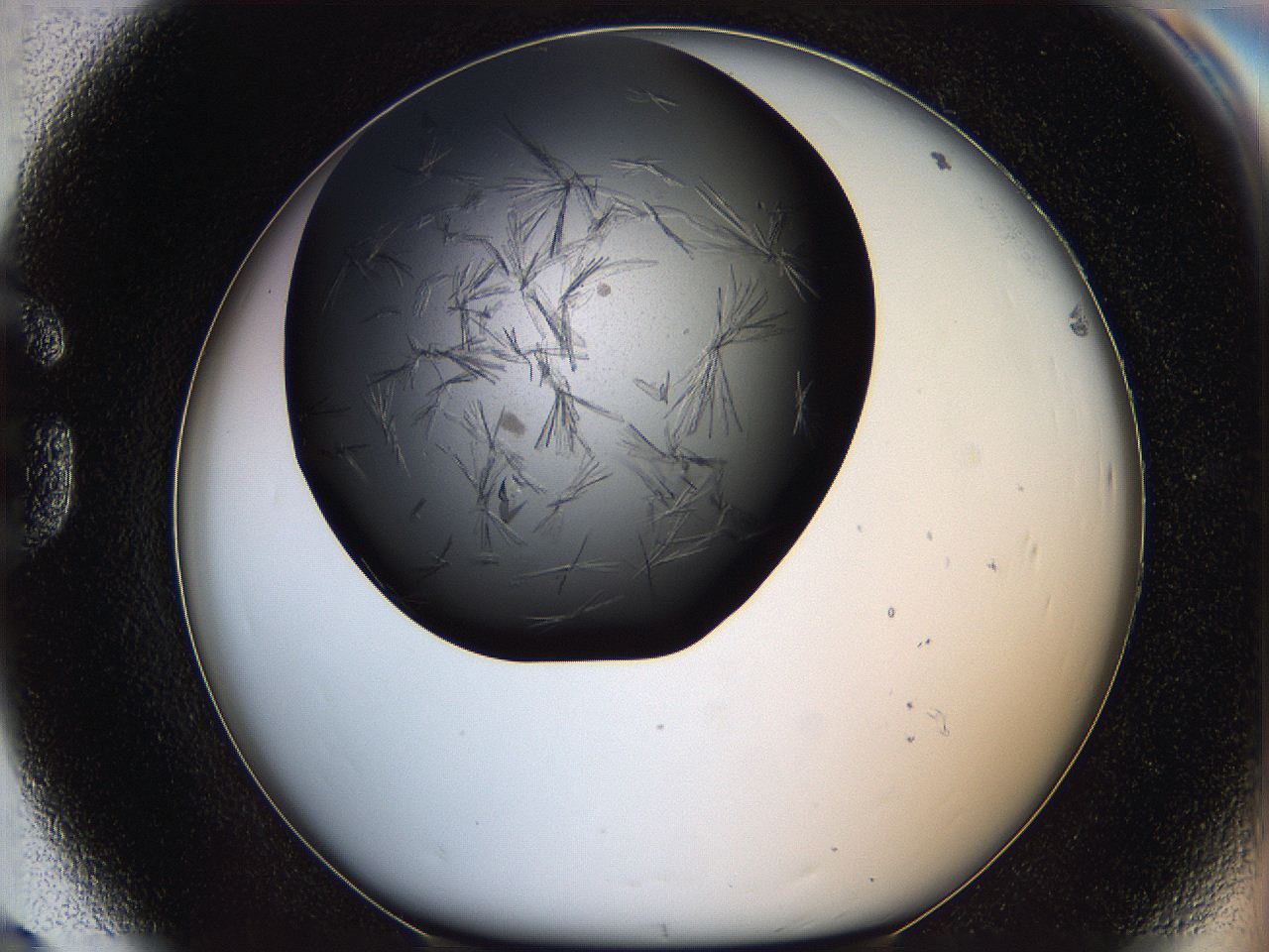 060c_G8_ImagerDefaults_6.jpg