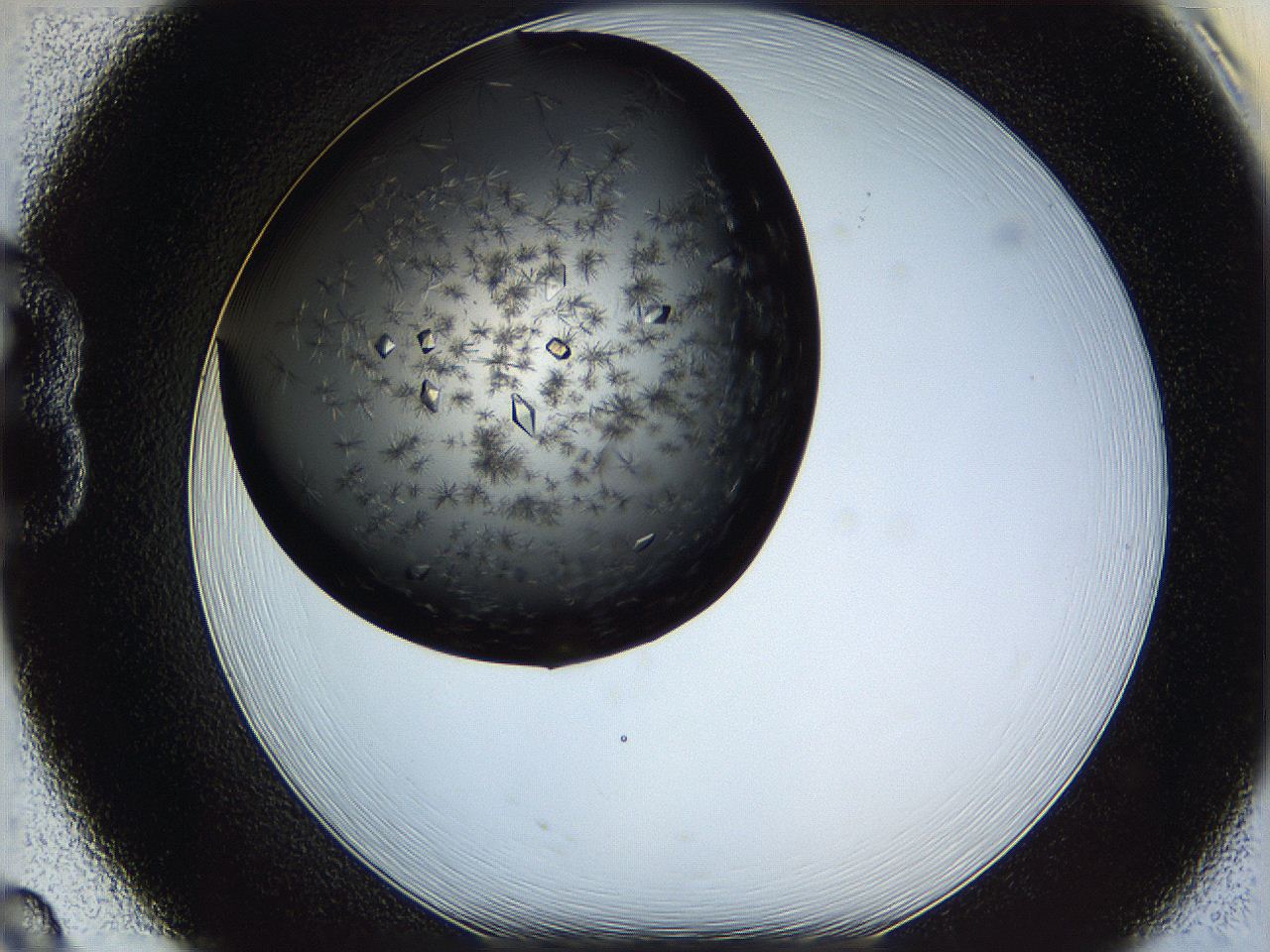 060c_B8_ImagerDefaults_9.jpg