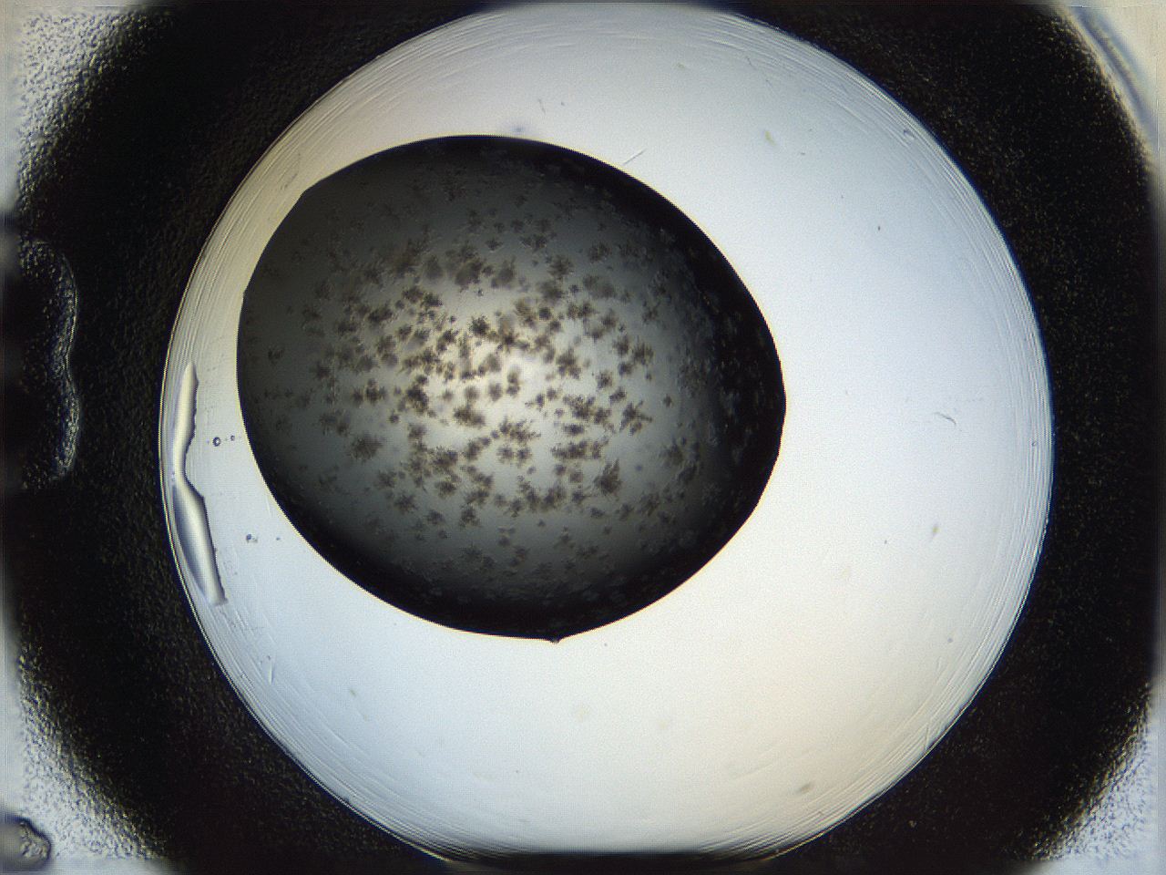060c_B6_ImagerDefaults_6.jpg
