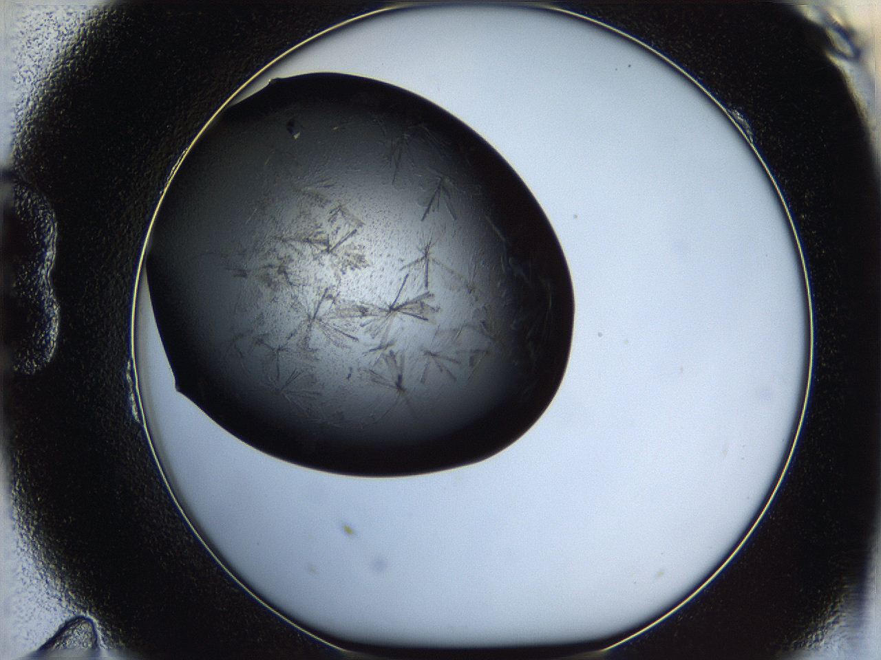 060d_B11_ImagerDefaults_7.jpg