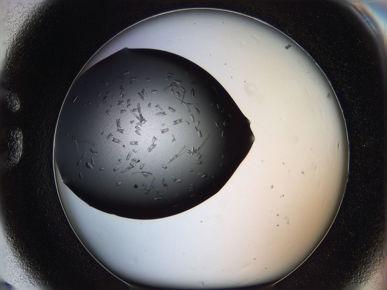 060d_G8_ImagerDefaults_6.jpg