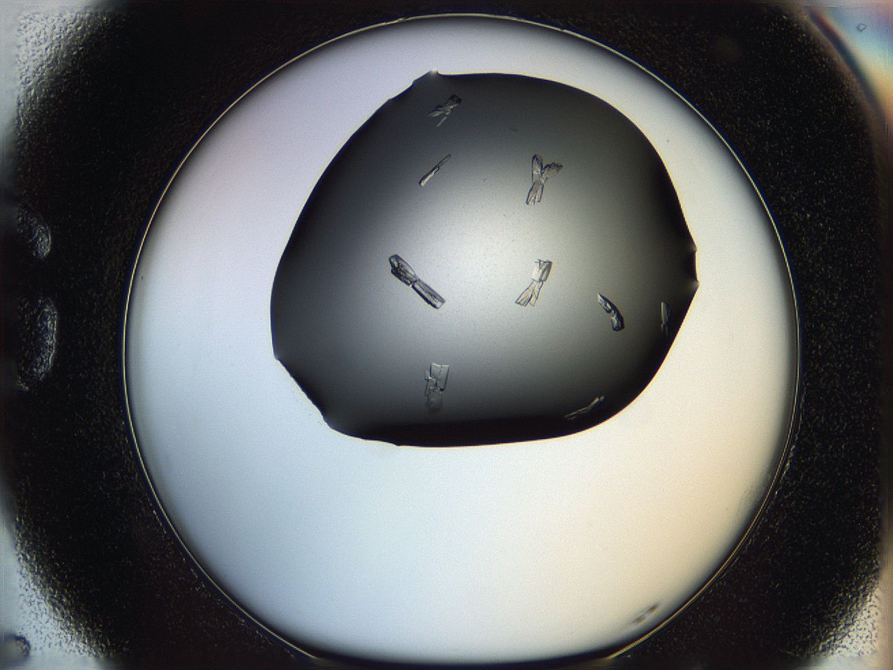 060d_G5_ImagerDefaults_9.jpg