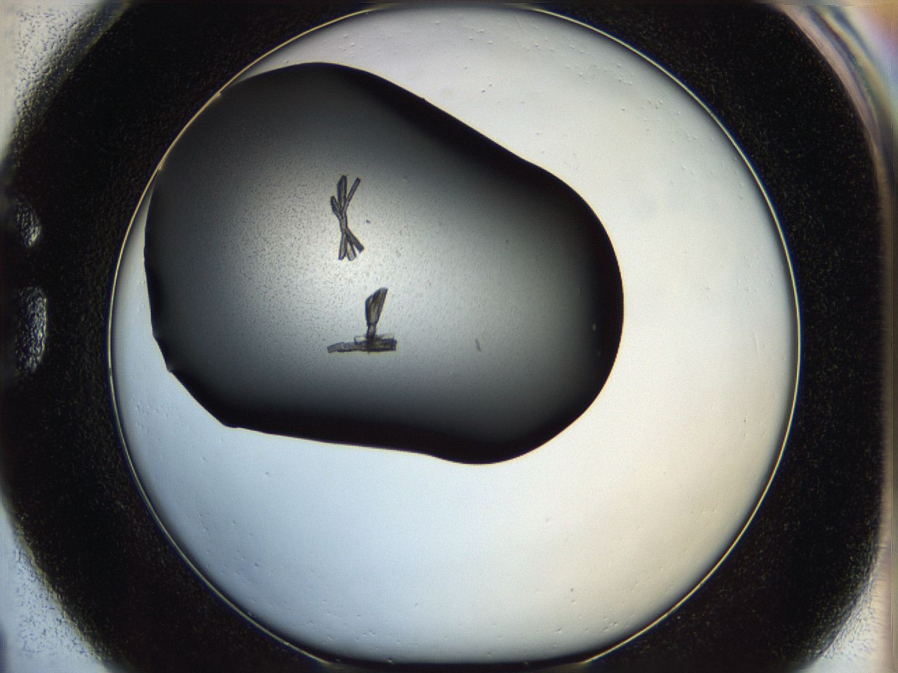060d_G1_ImagerDefaults_9.jpg