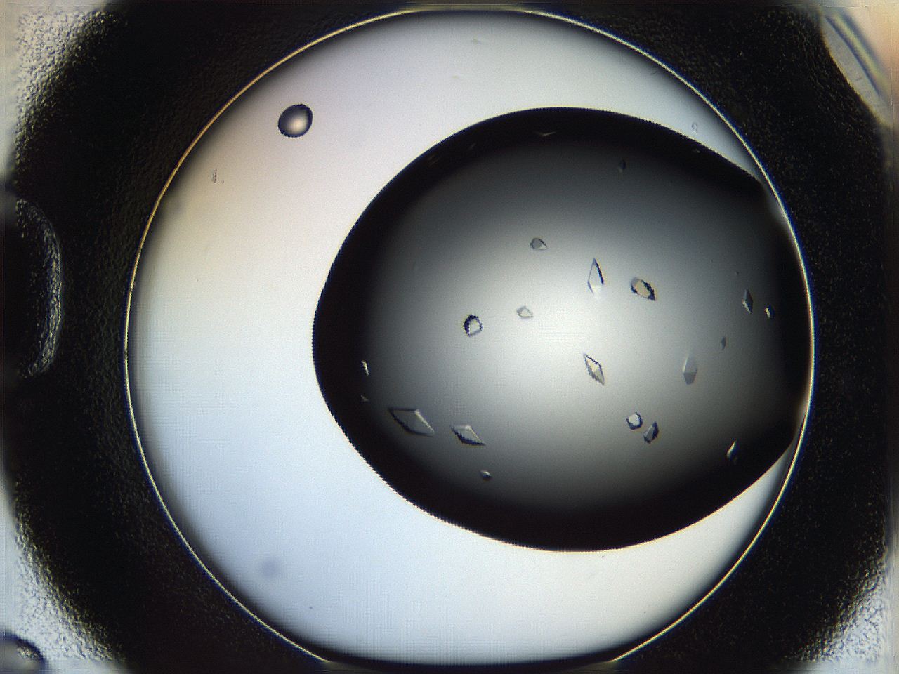 060d_D6_ImagerDefaults_9.jpg