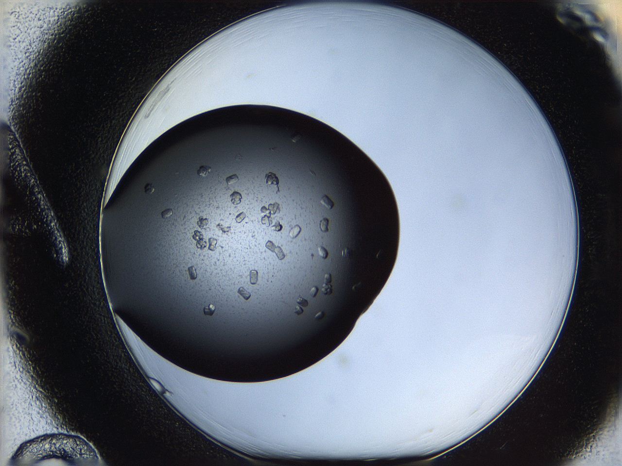 060d_A12_ImagerDefaults_8.jpg