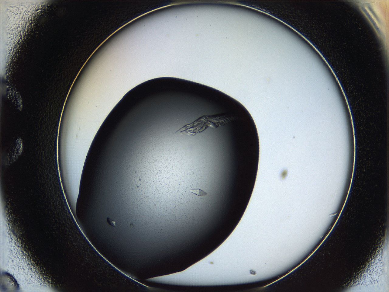 060d_C8_ImagerDefaults_9.jpg