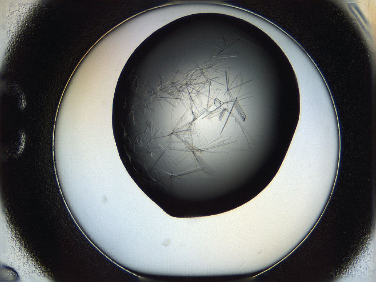 060d_C6_ImagerDefaults_6.jpg