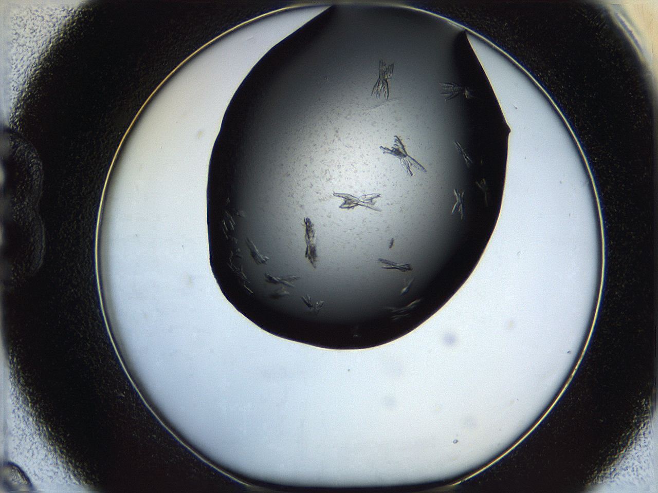060e_B9_ImagerDefaults_7.jpg