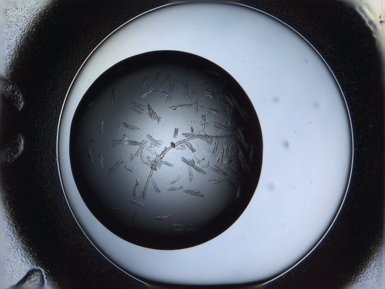 060e_C11_ImagerDefaults_7.jpg