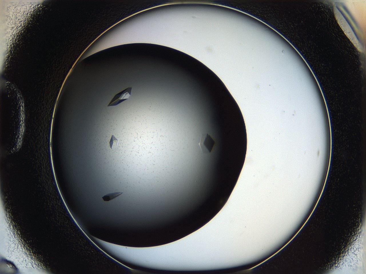 060e_D6_ImagerDefaults_9.jpg