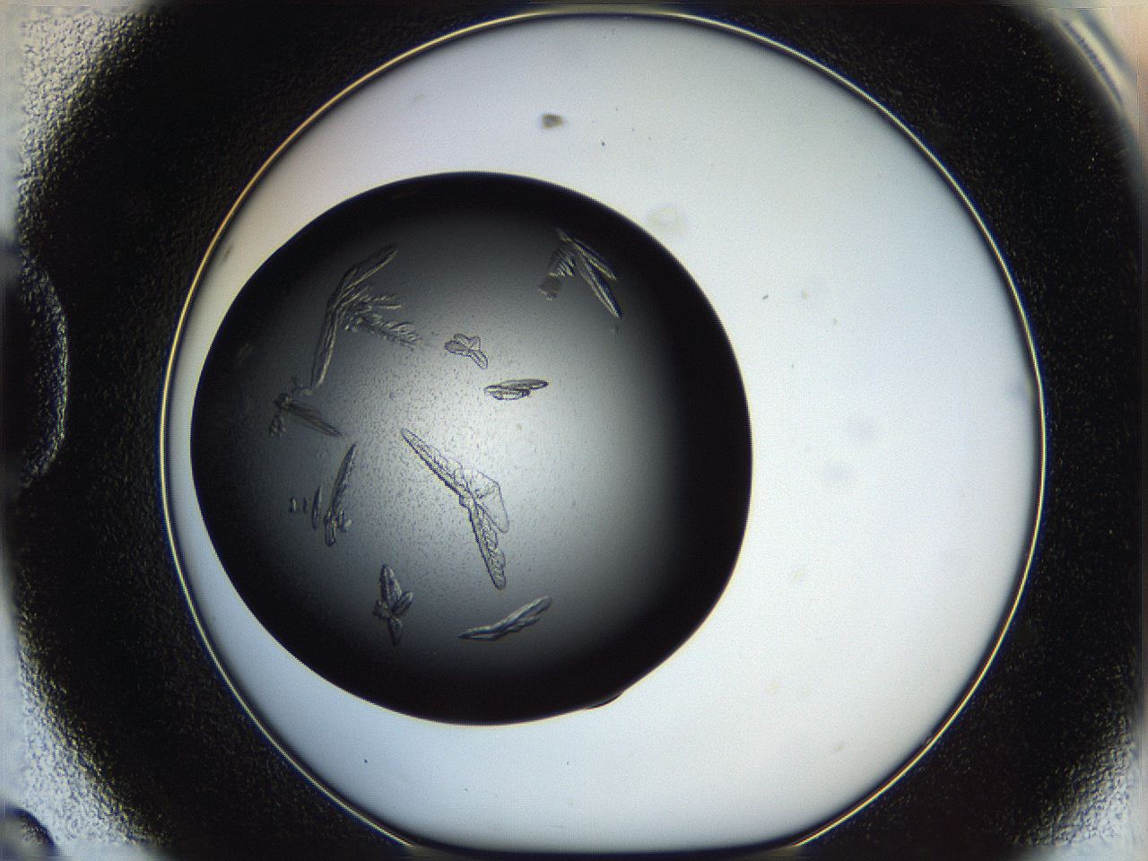 060e_D8_ImagerDefaults_9.jpg