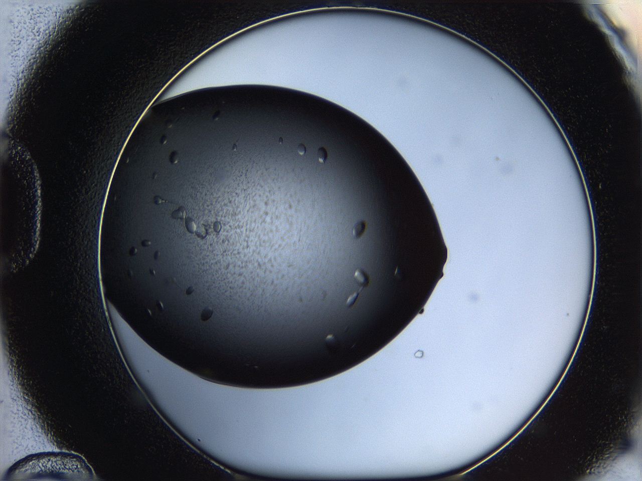060e_D12_ImagerDefaults_7.jpg