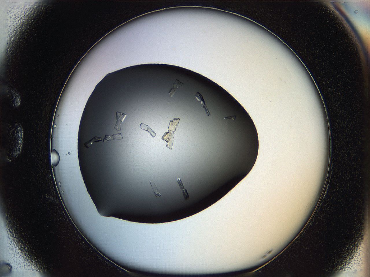 060e_G5_ImagerDefaults_9.jpg