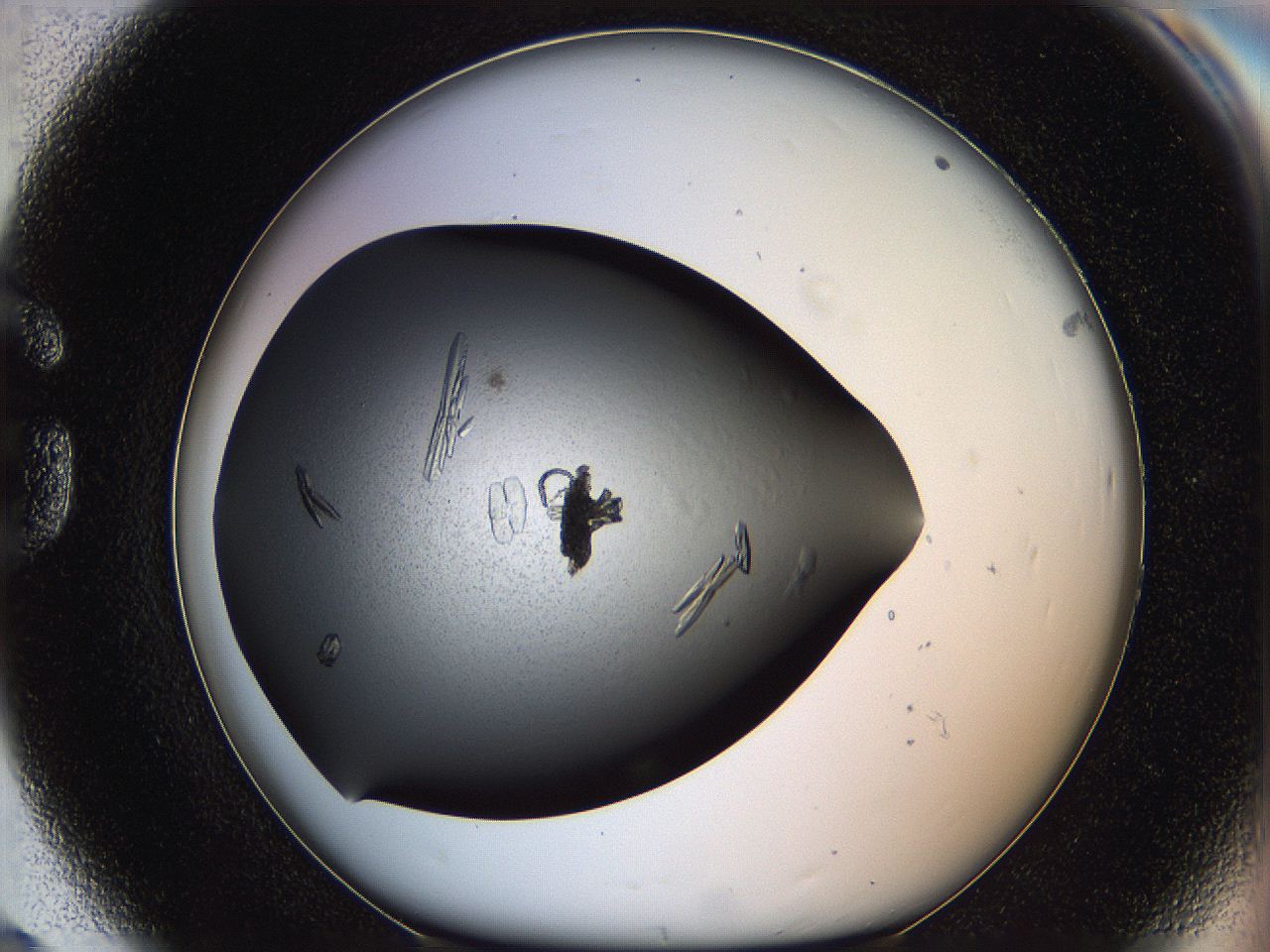 060e_G8_ImagerDefaults_8.jpg